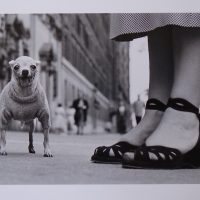 Elliott Erwitt, photograph