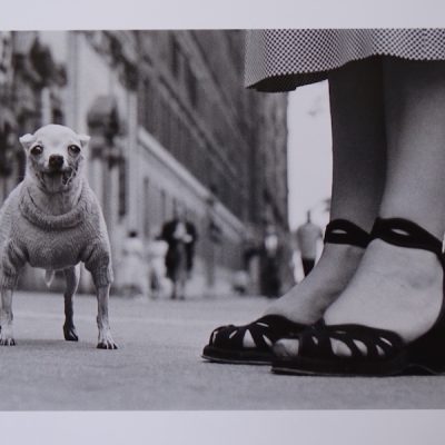 Elliott Erwitt – New York, hand stamped authentication