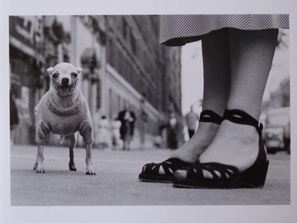 Elliott Erwitt, photograph